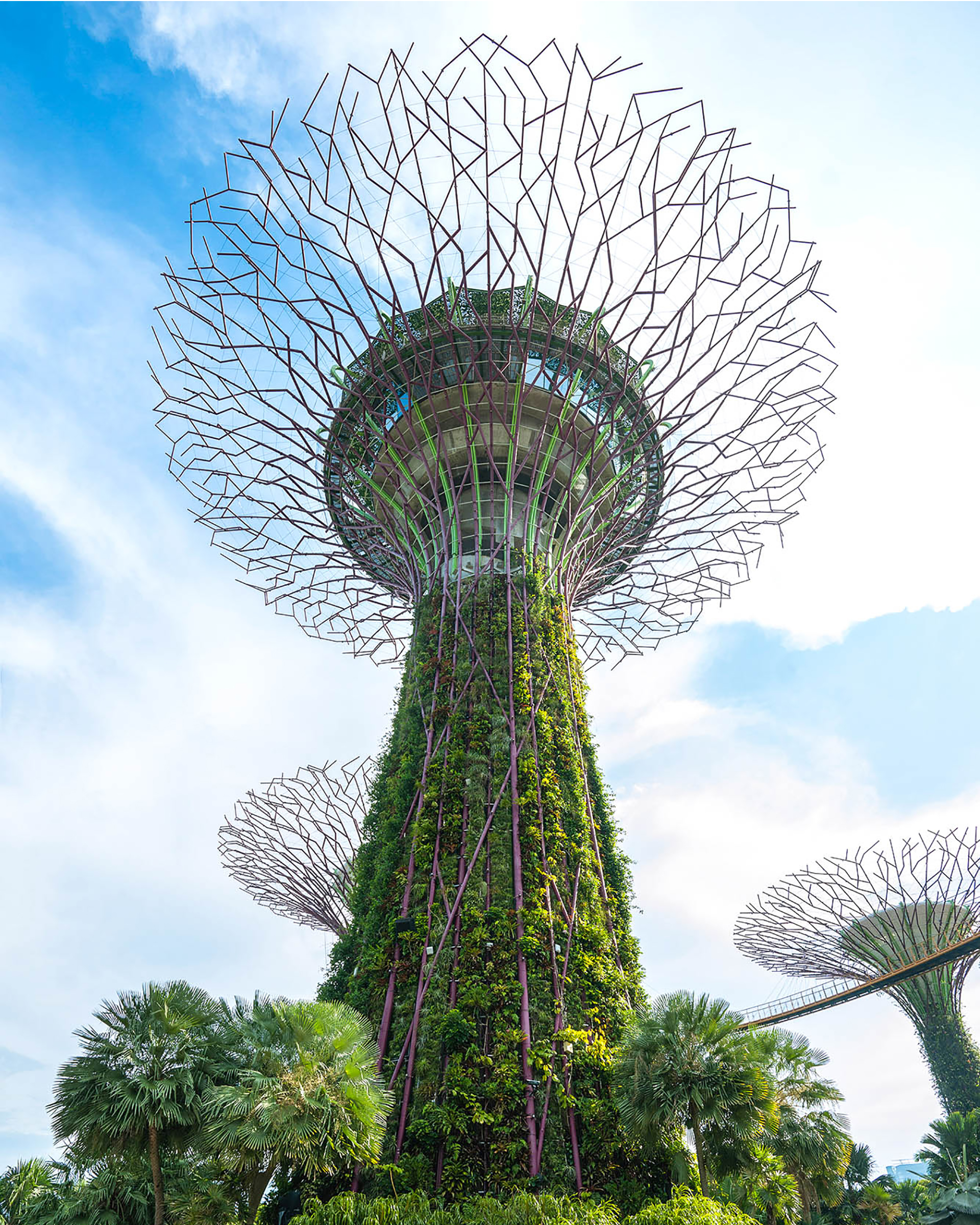 delhi-to-singapore-courier